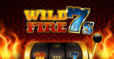Enracha wild fire 7